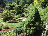 17 - Butchard Gardens  - IMGA0257